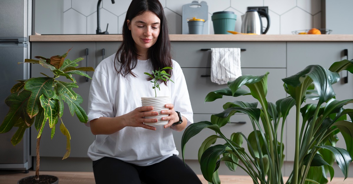 Plantas que purificam o ar e quase ninguém conhece